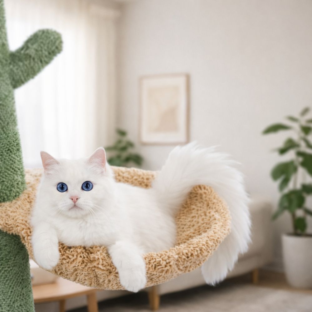 Arbre à chat sol plafond sans perçage extensible - plateformes et zones de repos