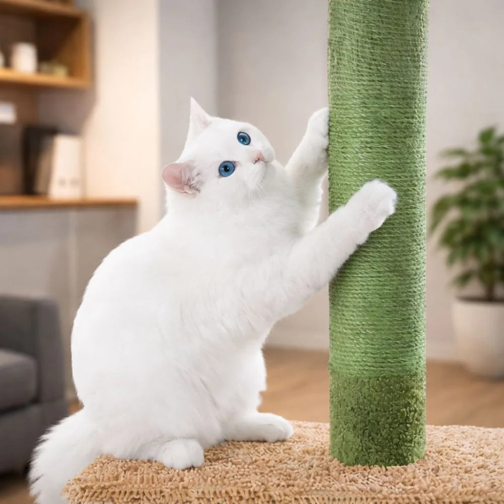 Arbre à chat sol plafond sans perçage extensible - plateformes et zones de repos