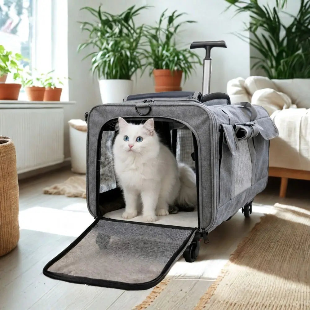 Sac de transport chat à roulettes style valise - confortable et pratique