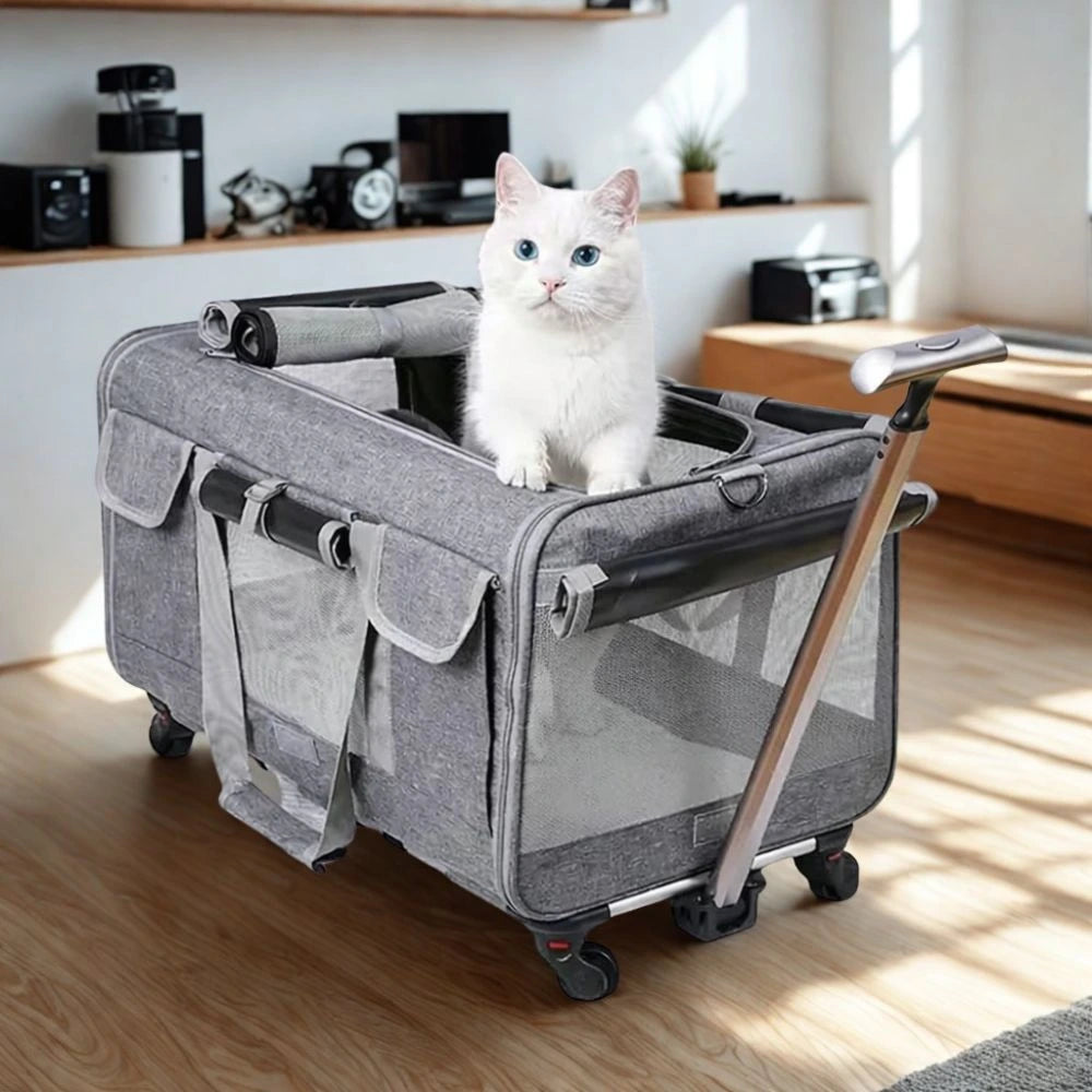 Sac de transport chat à roulettes style valise - confortable et pratique